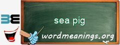 WordMeaning blackboard for sea pig